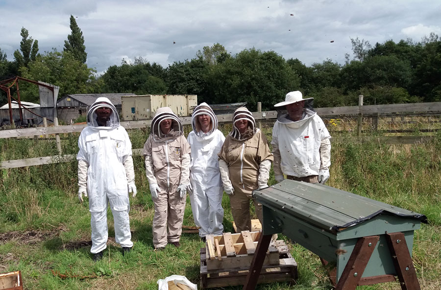 Image of one of our Hives