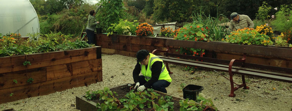 Get Involved with Wigan Growing Network