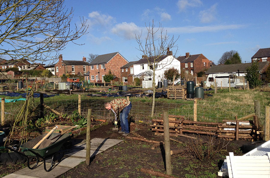 Organic food growing