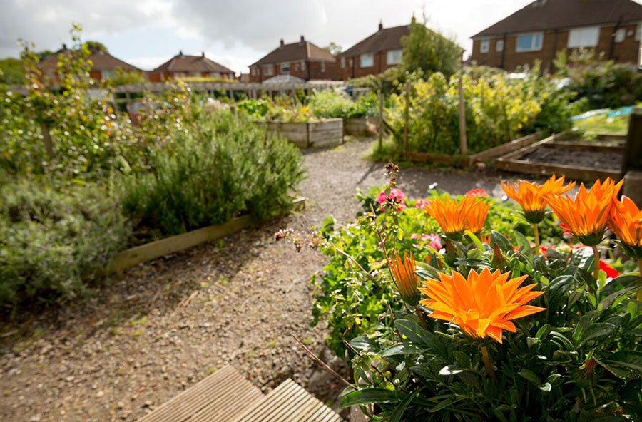 Imageof Worsley Hall community Allotments