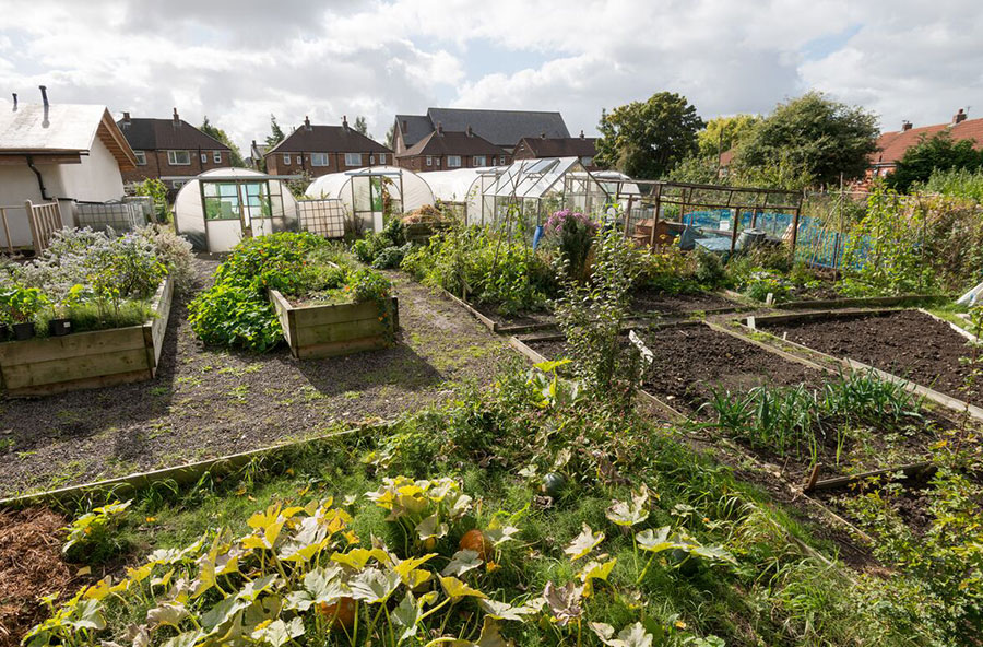 Image people working at one of our projects